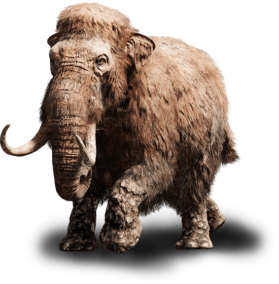 Mammoth Png Isolated Photos (gray, black)