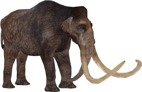 Mammoth Png Isolated Pic (maroon, black, olive)