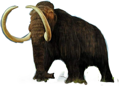 Mammoth Transparent Png (black)