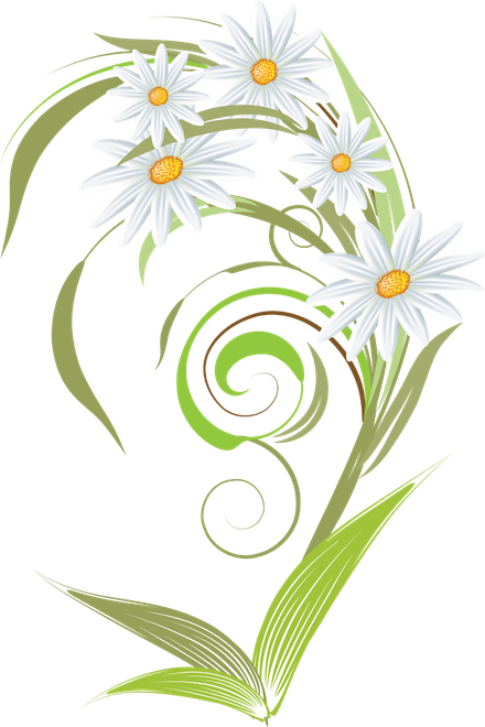 Camomile Art Png (black, gray, white)