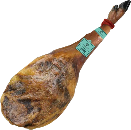 Jamon Transparent Background (olive, indigo, black)