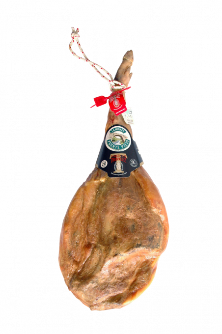 Jamon Transparent (chocolate, black, salmon)