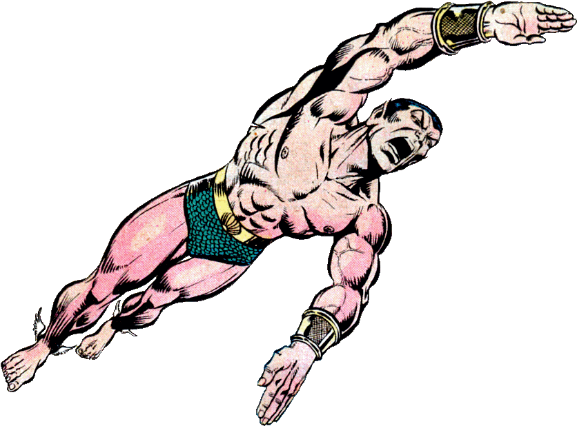 Namor Png Hd (black)