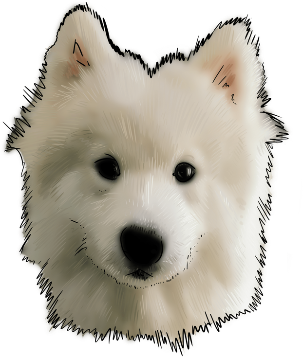 Samoyed Dog Png (black, silver, beige, gray)