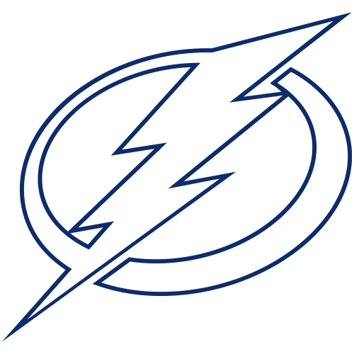 Tampa Bay Lightning Png Pic (gray, white)