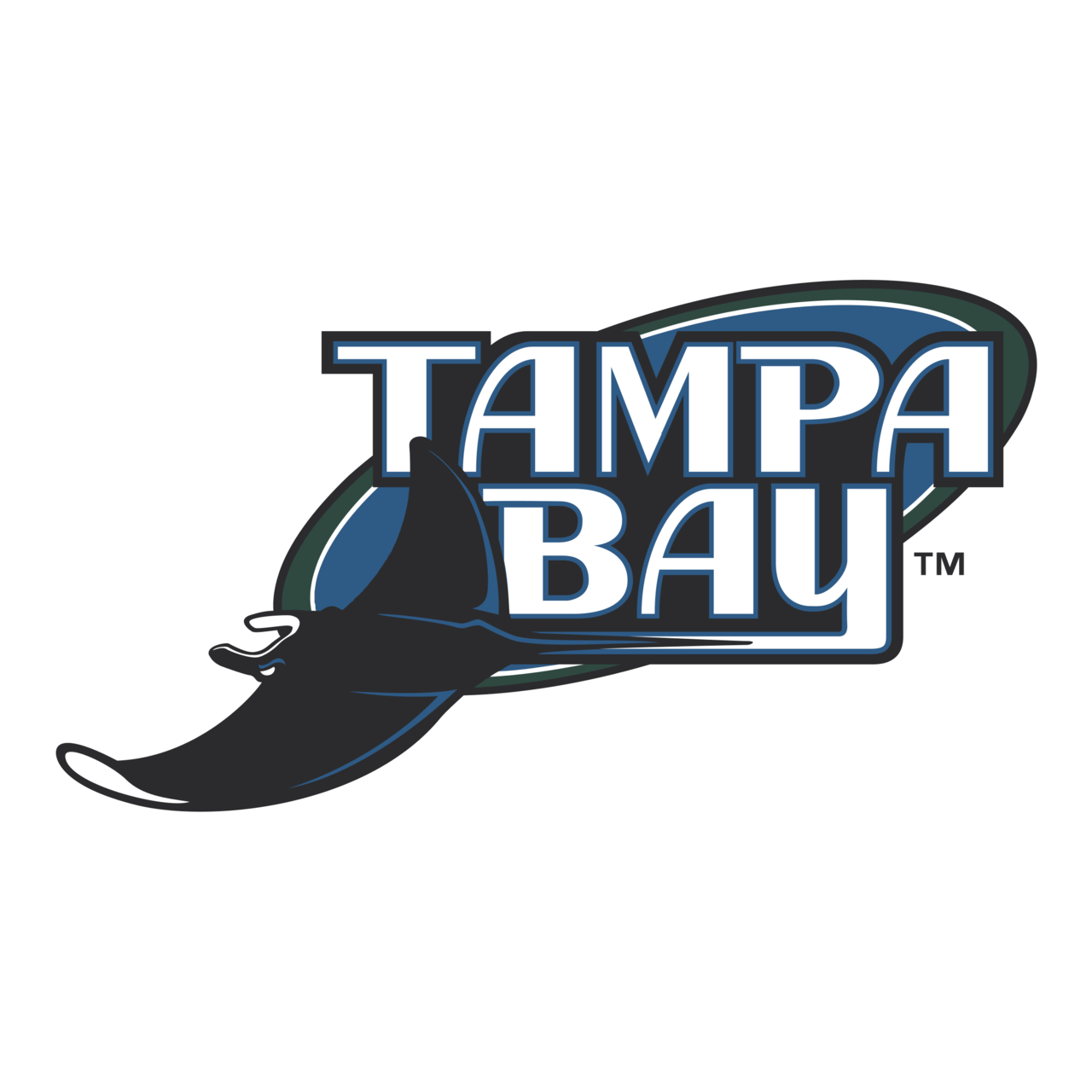 Tampa Bay Rays Png File (teal, black, gray, white)