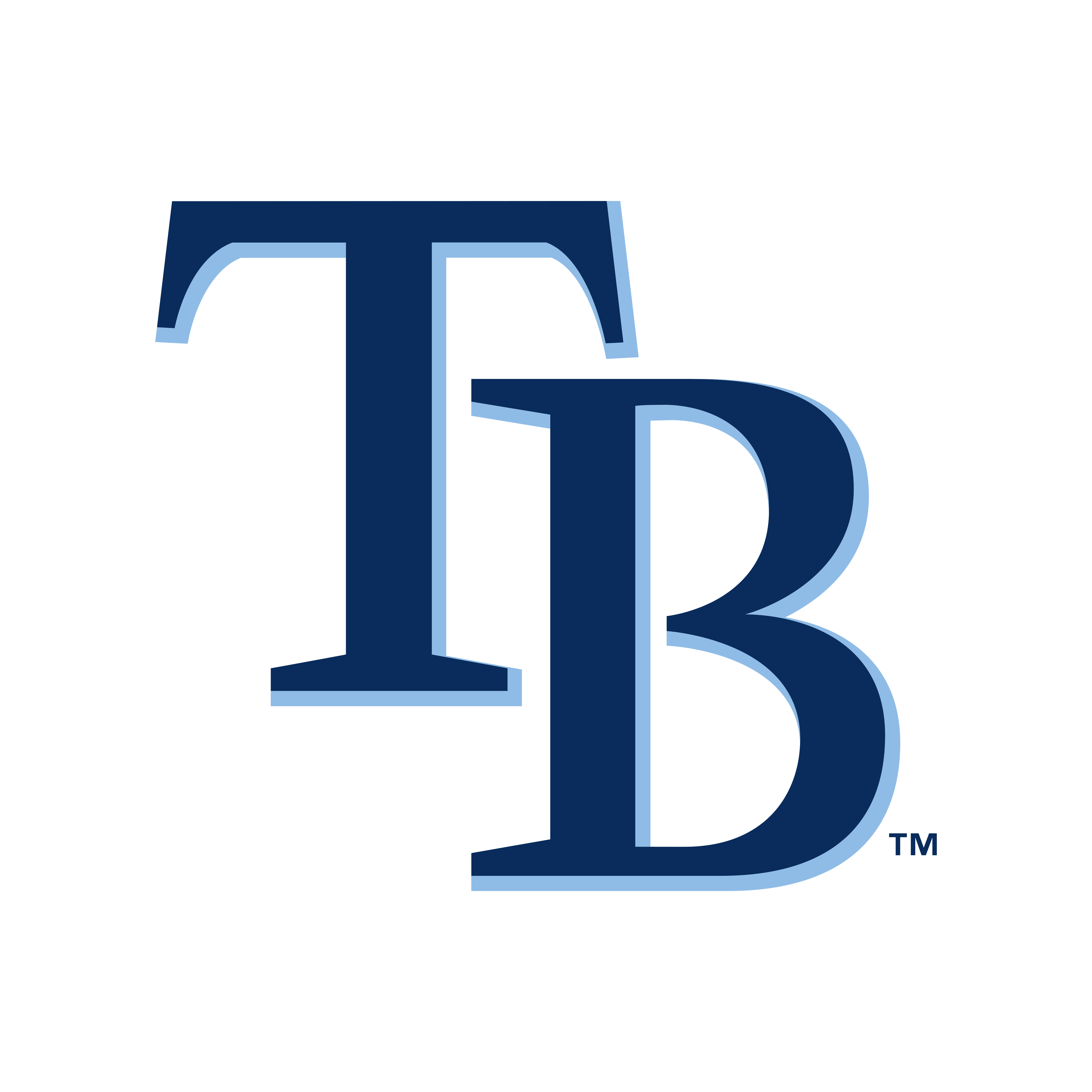 Tampa Bay Rays Png Isolated Hd (navy, black, silver)