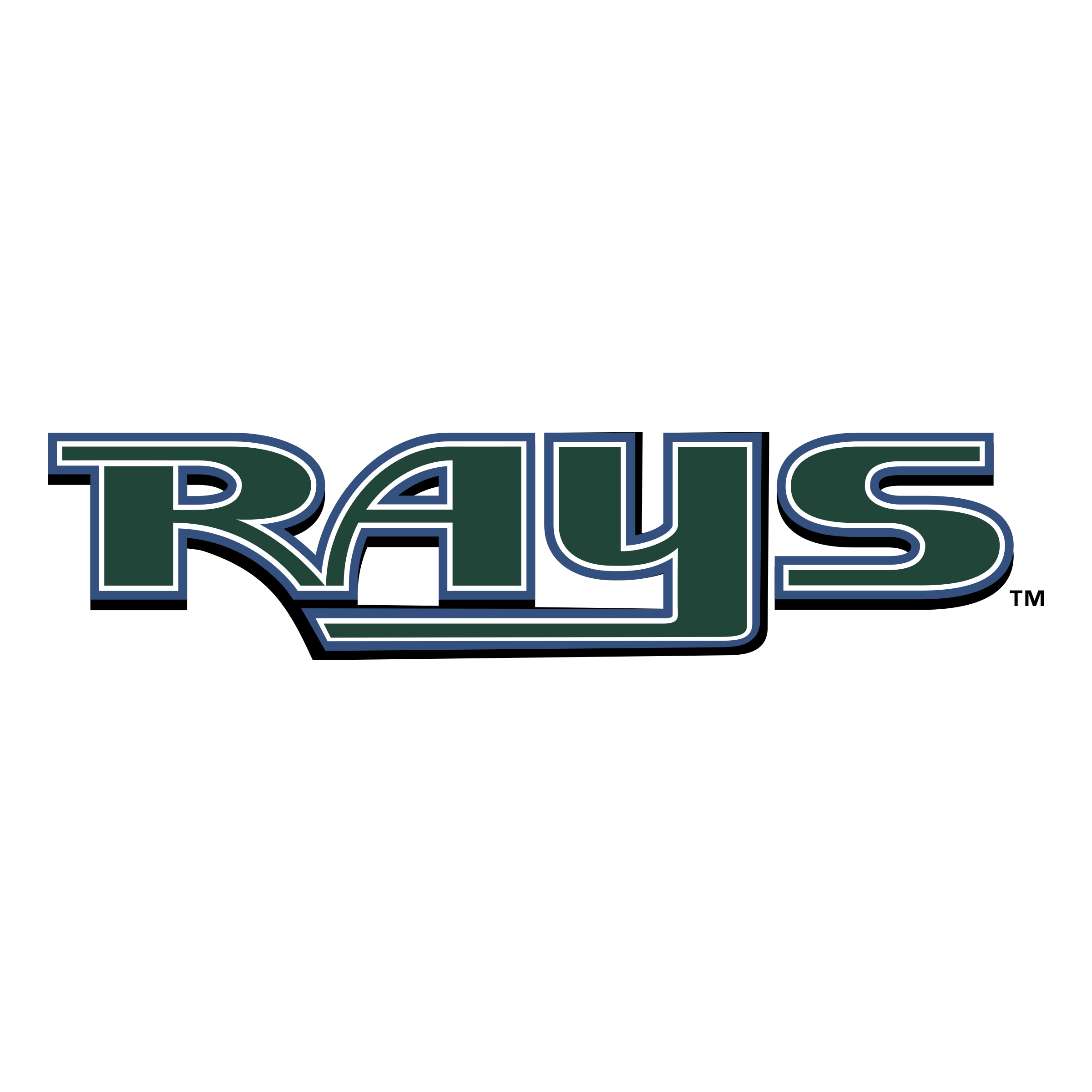 Tampa Bay Rays Png (black, gray, green)