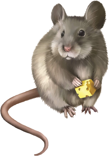 Hamster Png Image (black, maroon, gray)