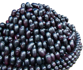 Jamun Java Plum Png Image (black)