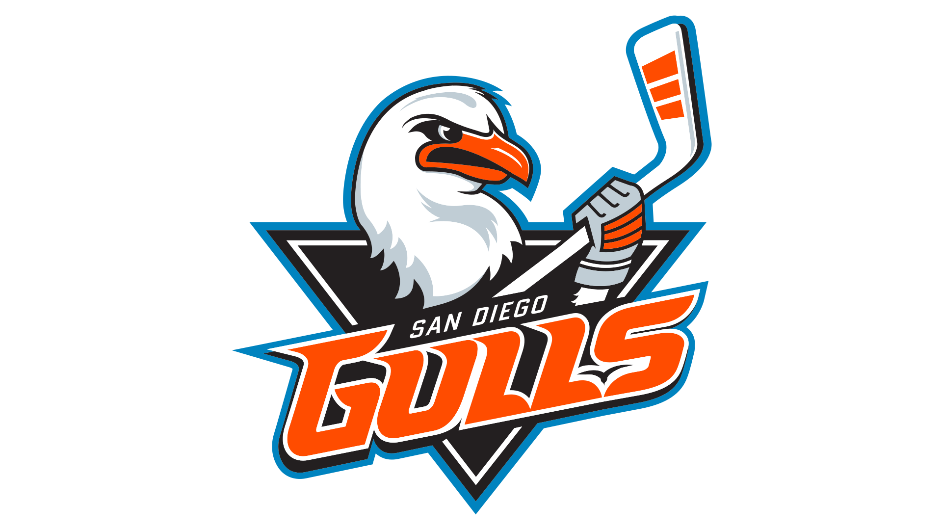 San Diego Gulls Png Pic (black, chocolate, white, teal)