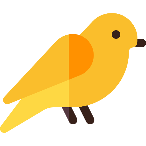 Canary Bird Png Photos (black, orange, gold)