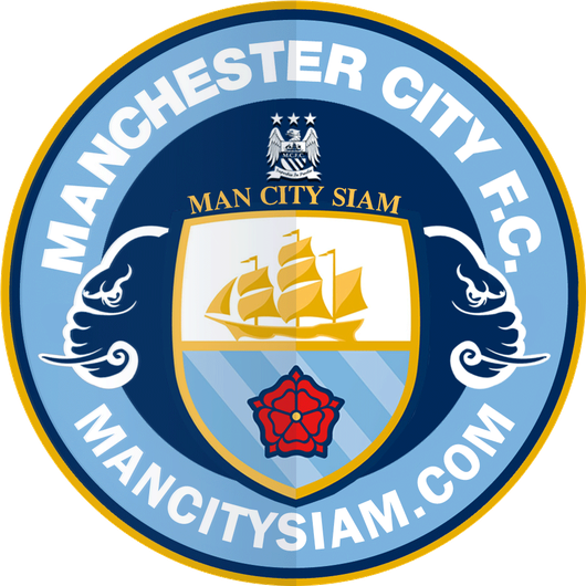 Manchester City F.C Png (white, silver, navy, black)