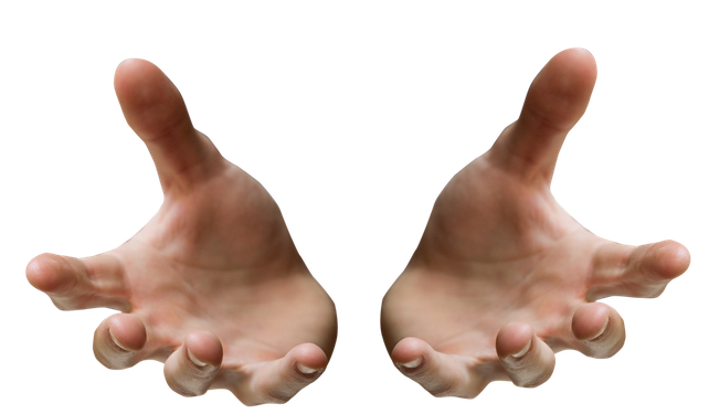 Hand Png Hd Photo (black, olive)