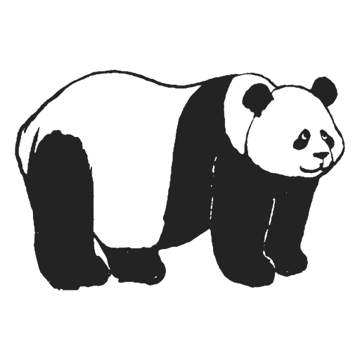 Panda Bear Png Photos (black)