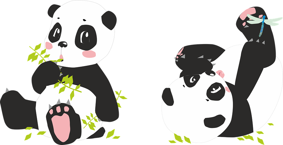 Panda Png File (white, black)