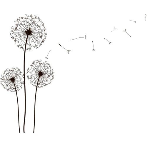 Dandelion Png File (white)