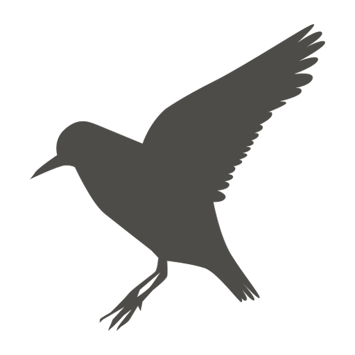 Sandpiper Png Clipart (black, gray)