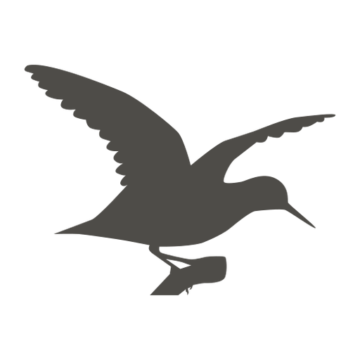 Sandpiper Png Isolated Pic (black, gray)