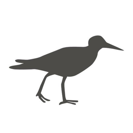 Sandpiper Png Photos (black, gray)