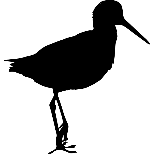 Sandpiper Png Picture (black, white)