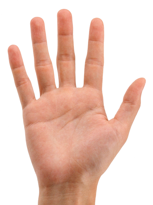 Hands Png 3 (black)