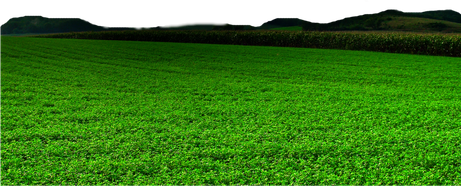 Landscape Grass Field Png Image (black, green)