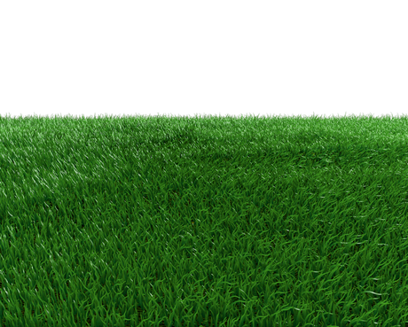 Landscape Green Grass Field Png Photos (black, green)