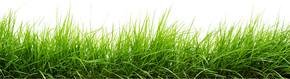 Landscape Green Grass Field Png Transparent Image (black)