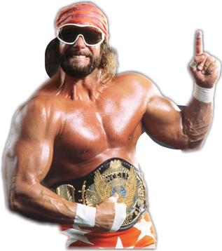 Randy Macho Man Savage Png Hd (black)