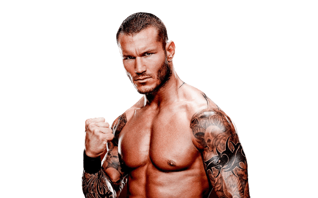 Randy Orton Png Photos (gray, black)