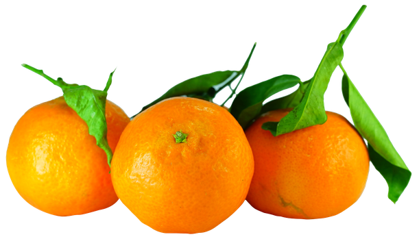 Tangerine Download Png Image (black, orange)