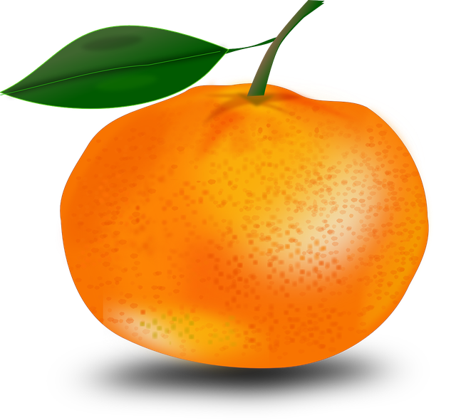 Tangerine Png File (black, green, orange, chocolate)