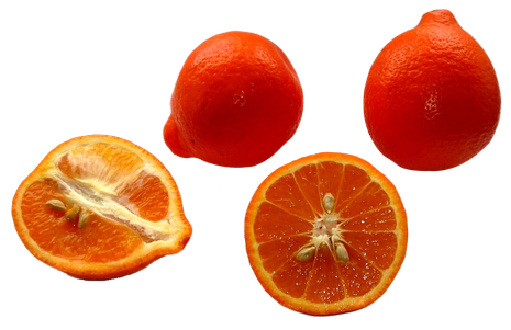 Tangerine Png Isolated Pic (maroon, black)