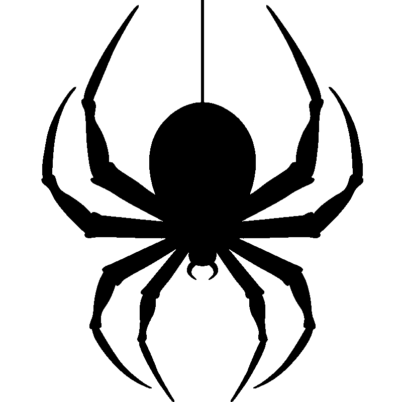 Hanging Spider Png Transparent Image (lavender, black, gray, white)