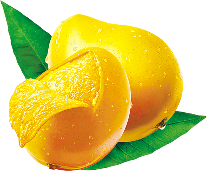 Mango Png Image Free Download (yellow, black, gold)