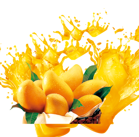 Mango Png Transparent Images (white, black, orange)