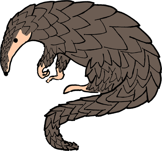 Pangolin Png Clipart (gray, black)