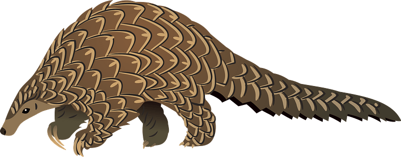 Pangolin Png Isolated File (gray, olive)