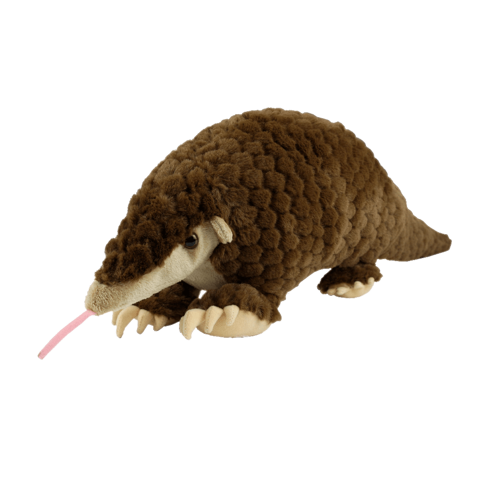 Pangolin Png Photo (gray)