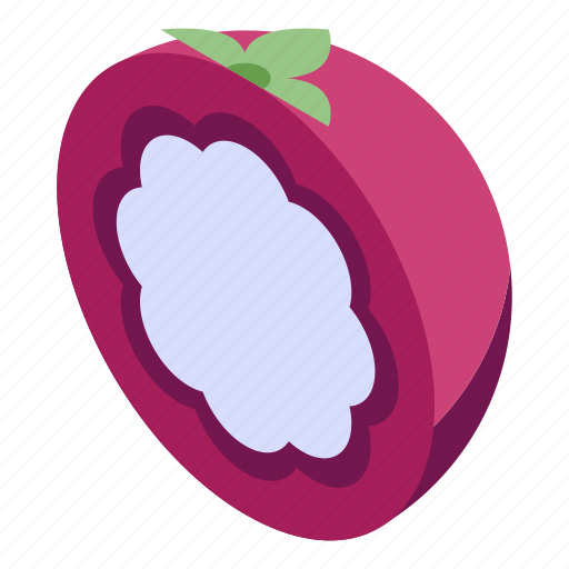 Mangosteen Png File (lavender, purple, black, salmon)