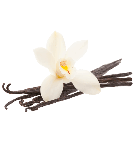 Vanilla Bean Png Free Download (black, beige)