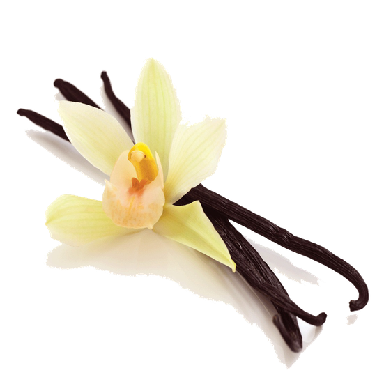 Vanilla Bean Png Picture (black)