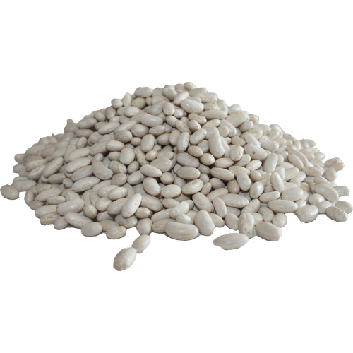 Cannellini Beans Png Hd (black, gray, silver)