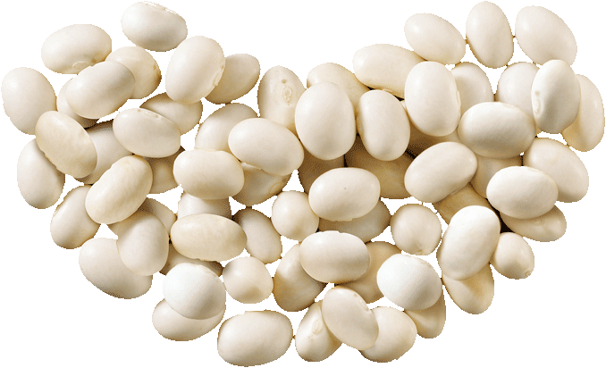 Cannellini Beans Png Pic (black, beige, pink)