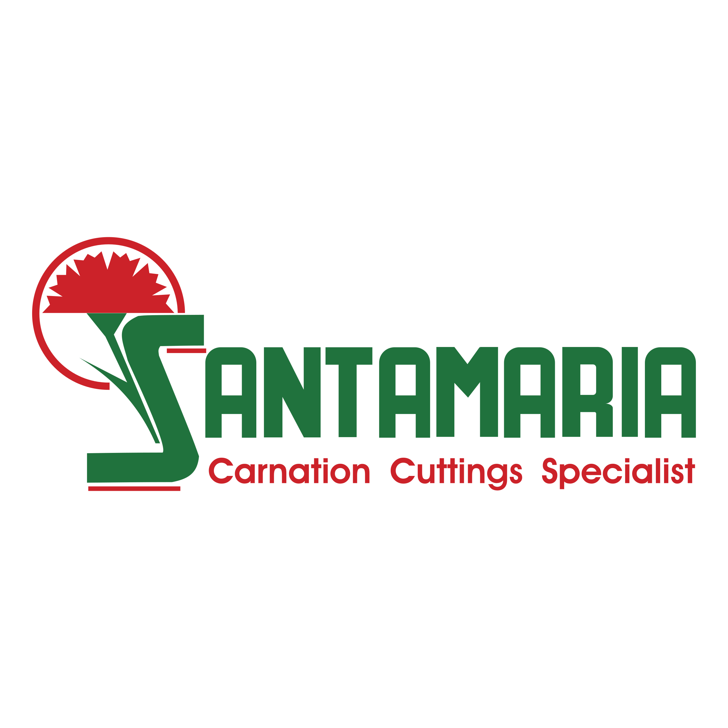 Santamaria Png (black, chocolate, green)