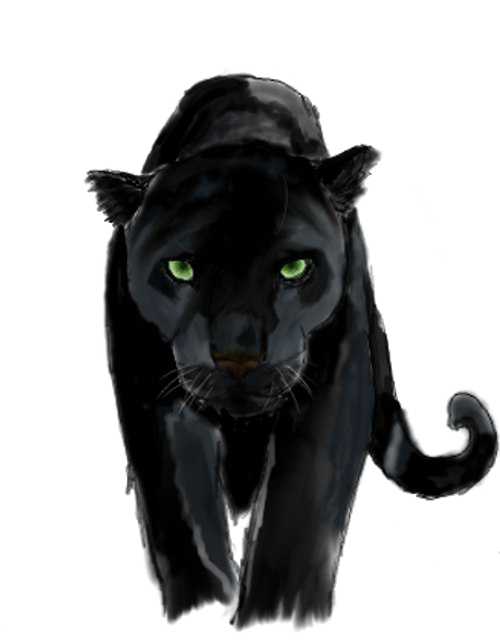 Panther Png Background Image (white, black)