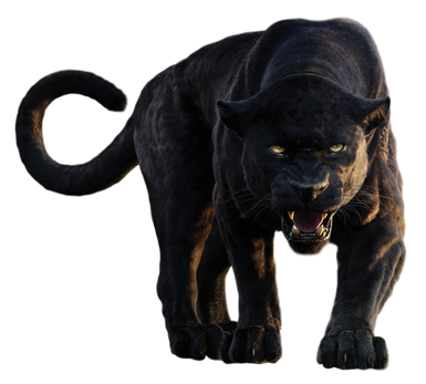 Panther Png Clipart (black)