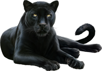 Panther Png Hd (black)