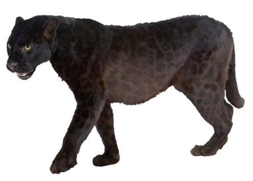 Panther Png Transparent Picture (black)